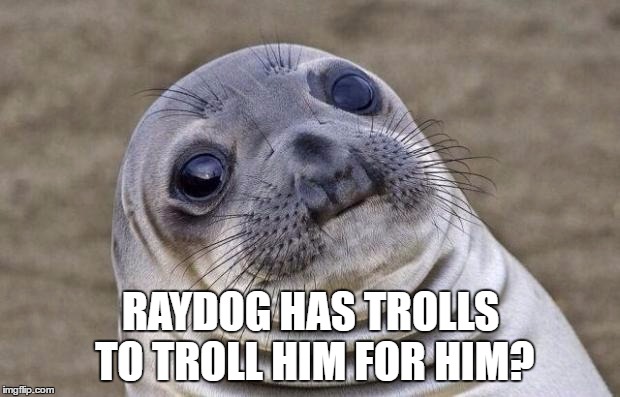 RAYDOG HAS TROLLS TO TROLL HIM FOR HIM? | image tagged in memes,awkward moment sealion | made w/ Imgflip meme maker