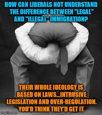 liberals problem | HOW CAN LIBERALS NOT UNDERSTAND THE DIFFERENCE BETWEEN "LEGAL" AND "ILLEGAL" IMMIGRATION? THEIR WHOLE IDEOLOGY IS BASED ON LAWS...INTRUSIVE LEGISLATION AND OVER-REGULATION. YOU'D THINK THEY'D GET IT. | image tagged in liberals problem | made w/ Imgflip meme maker