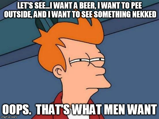 Futurama Fry Meme | LET'S SEE...I WANT A BEER, I WANT TO PEE OUTSIDE, AND I WANT TO SEE SOMETHING NEKKED OOPS.  THAT'S WHAT MEN WANT | image tagged in memes,futurama fry | made w/ Imgflip meme maker