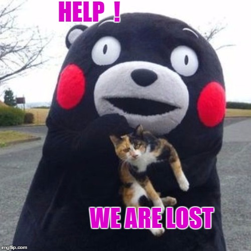 Help us plz ! | HELP  ! WE ARE LOST | image tagged in lost in space | made w/ Imgflip meme maker