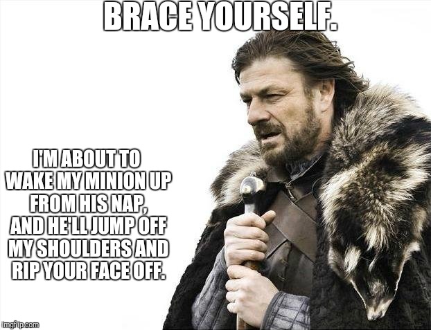 I just noticed that's an entire animal on him :/ | BRACE YOURSELF. I'M ABOUT TO WAKE MY MINION UP FROM HIS NAP, AND HE'LL JUMP OFF MY SHOULDERS AND RIP YOUR FACE OFF. | image tagged in memes,brace yourselves x is coming | made w/ Imgflip meme maker