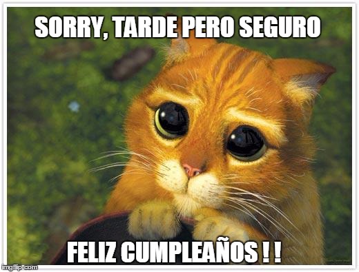 Shrek Cat Meme | SORRY, TARDE PERO SEGURO; FELIZ CUMPLEAÑOS ! ! | image tagged in memes,shrek cat | made w/ Imgflip meme maker