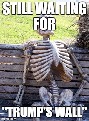 Waiting Skeleton | STILL WAITING FOR; "TRUMP'S WALL" | image tagged in memes,waiting skeleton | made w/ Imgflip meme maker