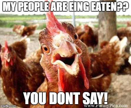 Chicken | MY PEOPLE ARE EING EATEN?? YOU DONT SAY! | image tagged in chicken | made w/ Imgflip meme maker