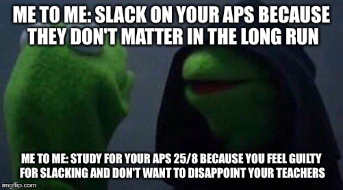kermit me to me | ME TO ME: SLACK ON YOUR APS BECAUSE THEY DON'T MATTER IN THE LONG RUN; ME TO ME: STUDY FOR YOUR APS 25/8 BECAUSE YOU FEEL GUILTY FOR SLACKING AND DON'T WANT TO DISAPPOINT YOUR TEACHERS | image tagged in kermit me to me | made w/ Imgflip meme maker