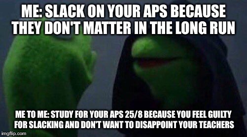 kermit me to me | ME: SLACK ON YOUR APS BECAUSE THEY DON'T MATTER IN THE LONG RUN; ME TO ME: STUDY FOR YOUR APS 25/8 BECAUSE YOU FEEL GUILTY FOR SLACKING AND DON'T WANT TO DISAPPOINT YOUR TEACHERS | image tagged in kermit me to me | made w/ Imgflip meme maker
