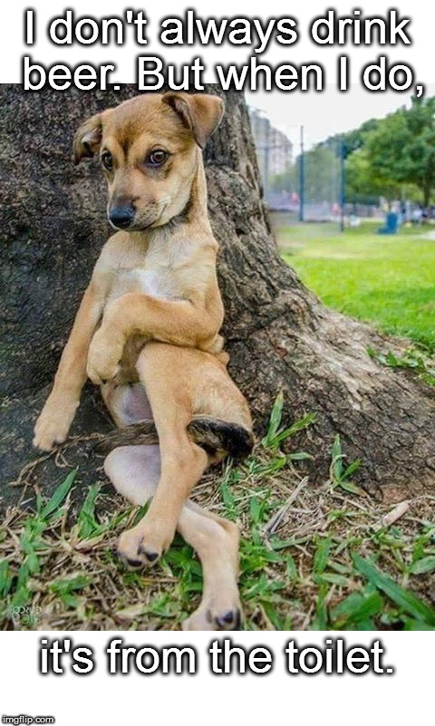 I don't always drink beer | I don't always drink beer. But when I do, it's from the toilet. | image tagged in i don't always drink beer | made w/ Imgflip meme maker