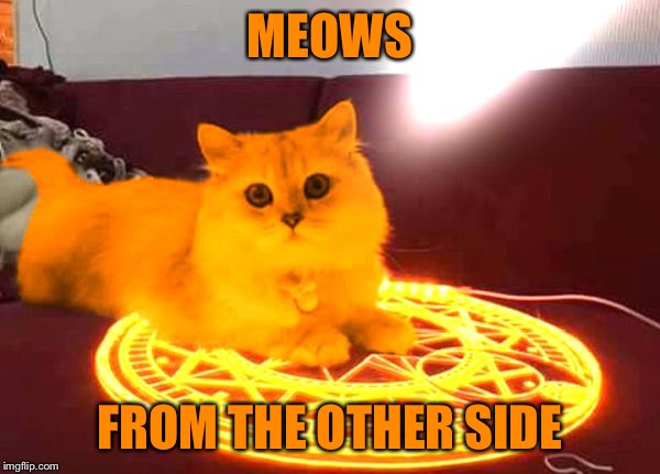 RayCat Powers | MEOWS FROM THE OTHER SIDE | image tagged in raycat powers | made w/ Imgflip meme maker