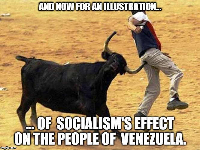 Oppressive system will do it every time. | AND NOW FOR AN ILLUSTRATION... ... OF  SOCIALISM'S EFFECT ON THE PEOPLE OF  VENEZUELA. | image tagged in bull | made w/ Imgflip meme maker