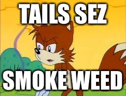 TAILS SEZ; SMOKE WEED | image tagged in memes,tails,weed | made w/ Imgflip meme maker
