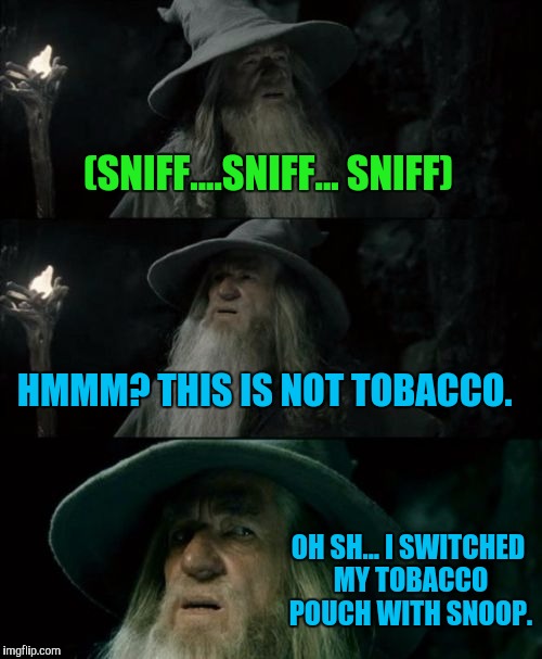 Confused Gandalf | (SNIFF....SNIFF... SNIFF); HMMM? THIS IS NOT TOBACCO. OH SH... I SWITCHED MY TOBACCO POUCH WITH SNOOP. | image tagged in memes,confused gandalf | made w/ Imgflip meme maker