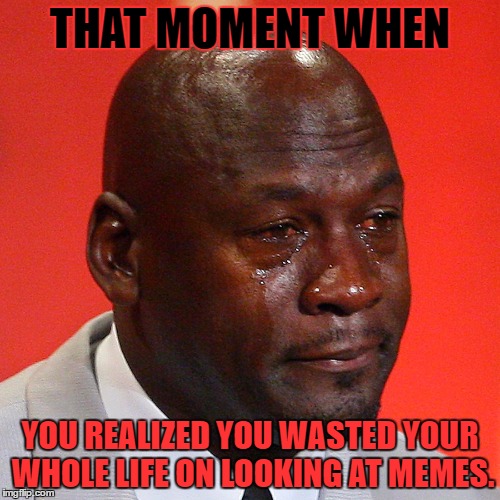 Michael Jordan Crying | THAT MOMENT WHEN; YOU REALIZED YOU WASTED YOUR WHOLE LIFE ON LOOKING AT MEMES. | image tagged in michael jordan crying | made w/ Imgflip meme maker