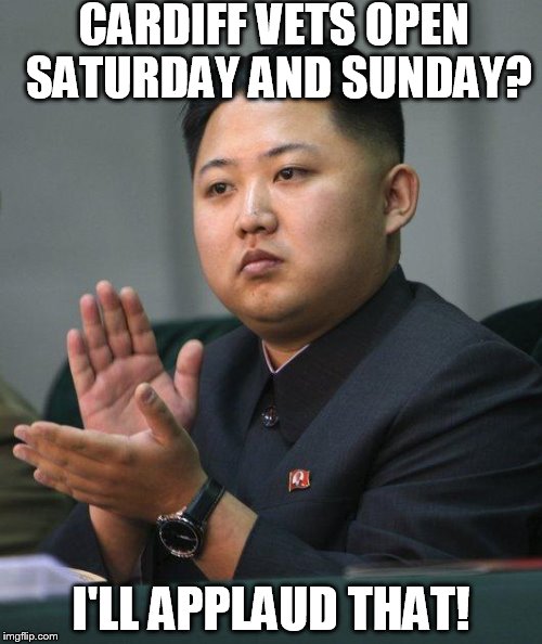 Kim Jong Un | CARDIFF VETS OPEN SATURDAY AND SUNDAY? I'LL APPLAUD THAT! | image tagged in kim jong un | made w/ Imgflip meme maker