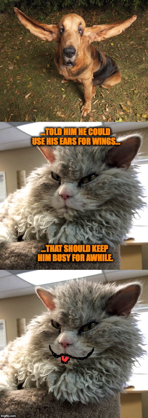 Pompous Albert And Fred Bassett | ...TOLD HIM HE COULD USE HIS EARS FOR WINGS... ...THAT SHOULD KEEP HIM BUSY FOR AWHILE. | image tagged in out of my hair | made w/ Imgflip meme maker