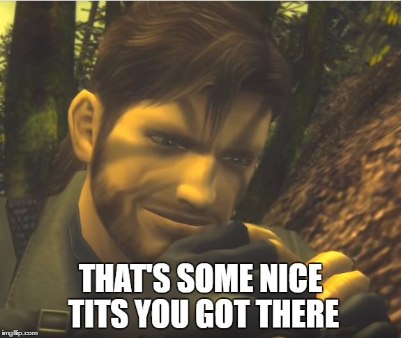 THAT'S SOME NICE TITS YOU GOT THERE | image tagged in smiling snake | made w/ Imgflip meme maker
