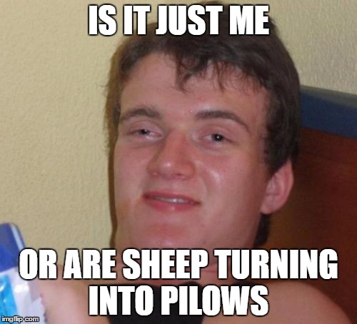 10 Guy Meme | IS IT JUST ME; OR ARE SHEEP TURNING INTO PILOWS | image tagged in memes,10 guy | made w/ Imgflip meme maker