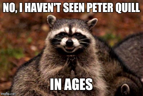 Guardians of the Galaxy meme  for the movie next week  | NO, I HAVEN'T SEEN PETER QUILL; IN AGES | image tagged in memes,evil plotting raccoon | made w/ Imgflip meme maker