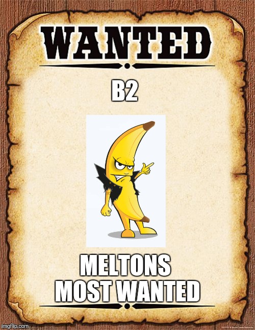 wanted poster | B2; MELTONS MOST WANTED | image tagged in wanted poster | made w/ Imgflip meme maker
