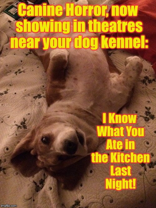 Hound Dog Productions presents: | Canine Horror, now showing in theatres near your dog kennel:; I Know What You Ate in the Kitchen Last Night! | image tagged in memes,hound dog,horror movie,i know what you did last summer,funny,kitchen | made w/ Imgflip meme maker
