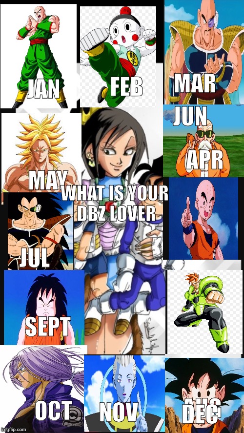 DBZ lover | MAR; JAN; FEB; JUN; APR; MAY; WHAT IS YOUR DBZ LOVER; JUL; SEPT; AUG; OCT; NOV; DEC | image tagged in dbz | made w/ Imgflip meme maker