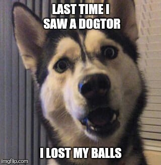 LAST TIME I SAW A DOGTOR I LOST MY BALLS | made w/ Imgflip meme maker