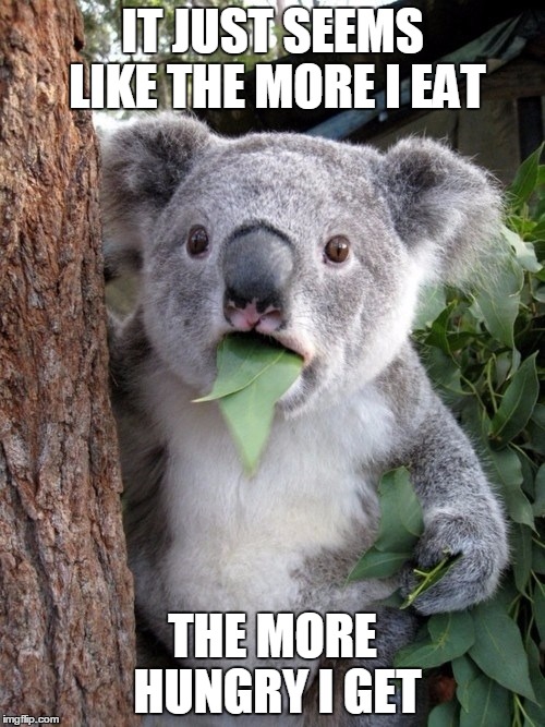 Did you know gum leaves get koalas high. | IT JUST SEEMS LIKE THE MORE I EAT; THE MORE HUNGRY I GET | image tagged in memes,surprised coala,10 guy | made w/ Imgflip meme maker