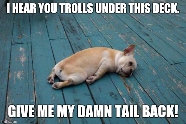 Tired dog | I HEAR YOU TROLLS UNDER THIS DECK. GIVE ME MY DAMN TAIL BACK! | image tagged in tired dog | made w/ Imgflip meme maker