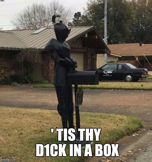 Here Ye Here Ye, I Present: A Male Box!  | ' TIS THY D1CK IN A BOX | image tagged in funny,memes,knight,the dark knight | made w/ Imgflip meme maker