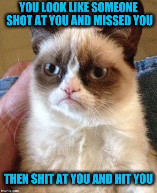 Grumpy Cat | YOU LOOK LIKE SOMEONE SHOT AT YOU AND MISSED YOU; THEN SHIT AT YOU AND HIT YOU | image tagged in memes,grumpy cat | made w/ Imgflip meme maker