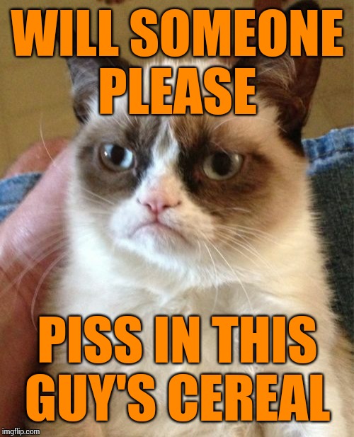 Grumpy Cat Meme | WILL SOMEONE PLEASE PISS IN THIS GUY'S CEREAL | image tagged in memes,grumpy cat | made w/ Imgflip meme maker