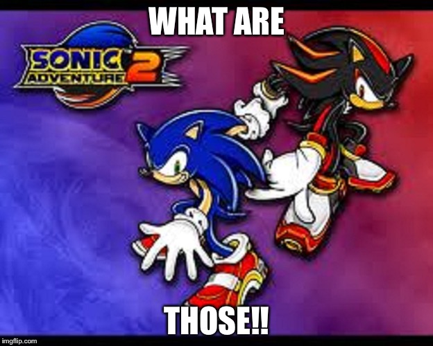 WHAT ARE; THOSE!! | image tagged in sonic adventure 2,gifs,bad luck brian,bad pun dog | made w/ Imgflip meme maker