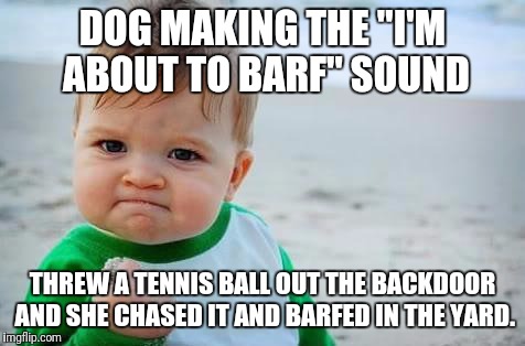 Fist pump baby | DOG MAKING THE "I'M ABOUT TO BARF" SOUND; THREW A TENNIS BALL OUT THE BACKDOOR AND SHE CHASED IT AND BARFED IN THE YARD. | image tagged in fist pump baby | made w/ Imgflip meme maker