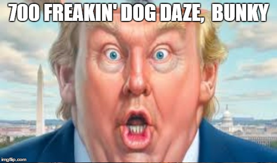 Eternity | 700 FREAKIN' DOG DAZE,  BUNKY | image tagged in dog daze | made w/ Imgflip meme maker