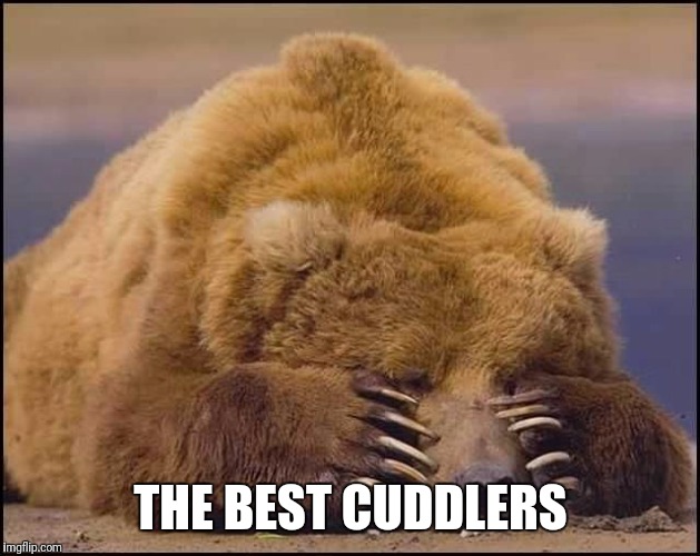 THE BEST CUDDLERS | image tagged in they cuddle the best | made w/ Imgflip meme maker