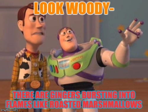 X, X Everywhere Meme | LOOK WOODY- THERE ARE GINGERS BURSTING INTO FLAMES LIKE ROASTED MARSHMALLOWS | image tagged in memes,x x everywhere | made w/ Imgflip meme maker