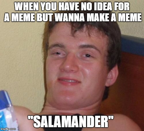 10 Guy Meme | WHEN YOU HAVE NO IDEA FOR A MEME BUT WANNA MAKE A MEME; "SALAMANDER" | image tagged in memes,10 guy | made w/ Imgflip meme maker