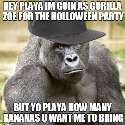 Ghetto Harambe | HEY PLAYA IM GOIN AS GORILLA ZOE FOR THE HOLLOWEEN PARTY; BUT YO PLAYA HOW MANY BANANAS U WANT ME TO BRING | image tagged in ghetto harambe | made w/ Imgflip meme maker