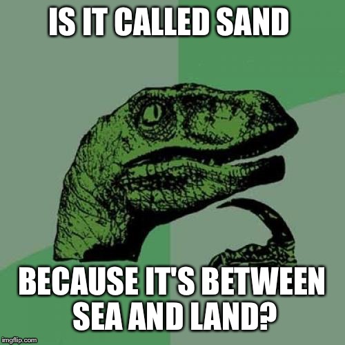Philosoraptor | IS IT CALLED SAND; BECAUSE IT'S BETWEEN SEA AND LAND? | image tagged in memes,philosoraptor | made w/ Imgflip meme maker