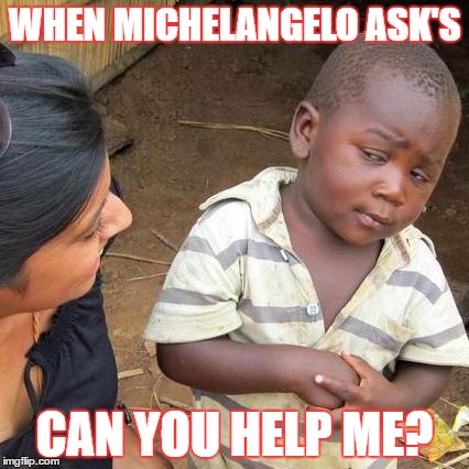 Third World Skeptical Kid Meme | WHEN MICHELANGELO ASK'S; CAN YOU HELP ME? | image tagged in memes,third world skeptical kid | made w/ Imgflip meme maker