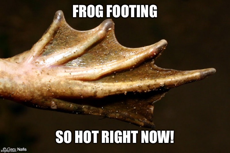 FROG FOOTING SO HOT RIGHT NOW! | made w/ Imgflip meme maker