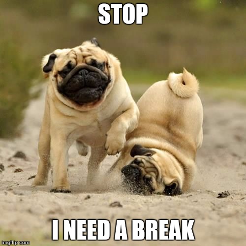 RUN! pugs | STOP; I NEED A BREAK | image tagged in run pugs | made w/ Imgflip meme maker