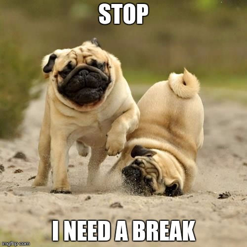 RUN Pugs Imgflip