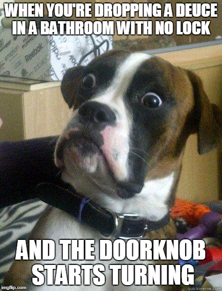 WHEN YOU'RE DROPPING A DEUCE IN A BATHROOM WITH NO LOCK; AND THE DOORKNOB STARTS TURNING | image tagged in deuce,dog | made w/ Imgflip meme maker