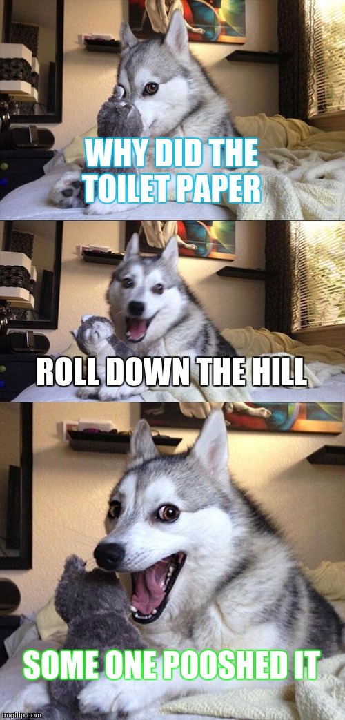 Bad Pun Dog Meme | WHY DID THE TOILET PAPER; ROLL DOWN THE HILL; SOME ONE POOSHED IT | image tagged in memes,bad pun dog | made w/ Imgflip meme maker