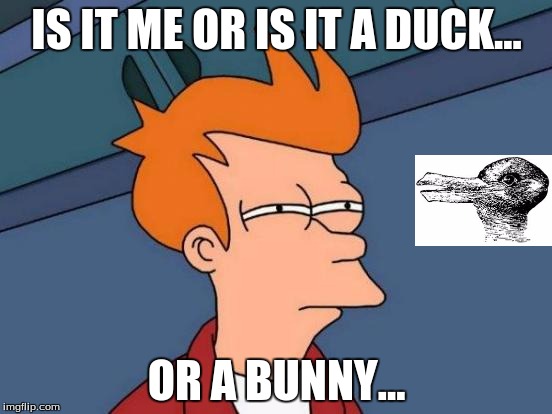 Futurama Fry Meme | IS IT ME OR IS IT A DUCK... OR A BUNNY... | image tagged in memes,futurama fry | made w/ Imgflip meme maker