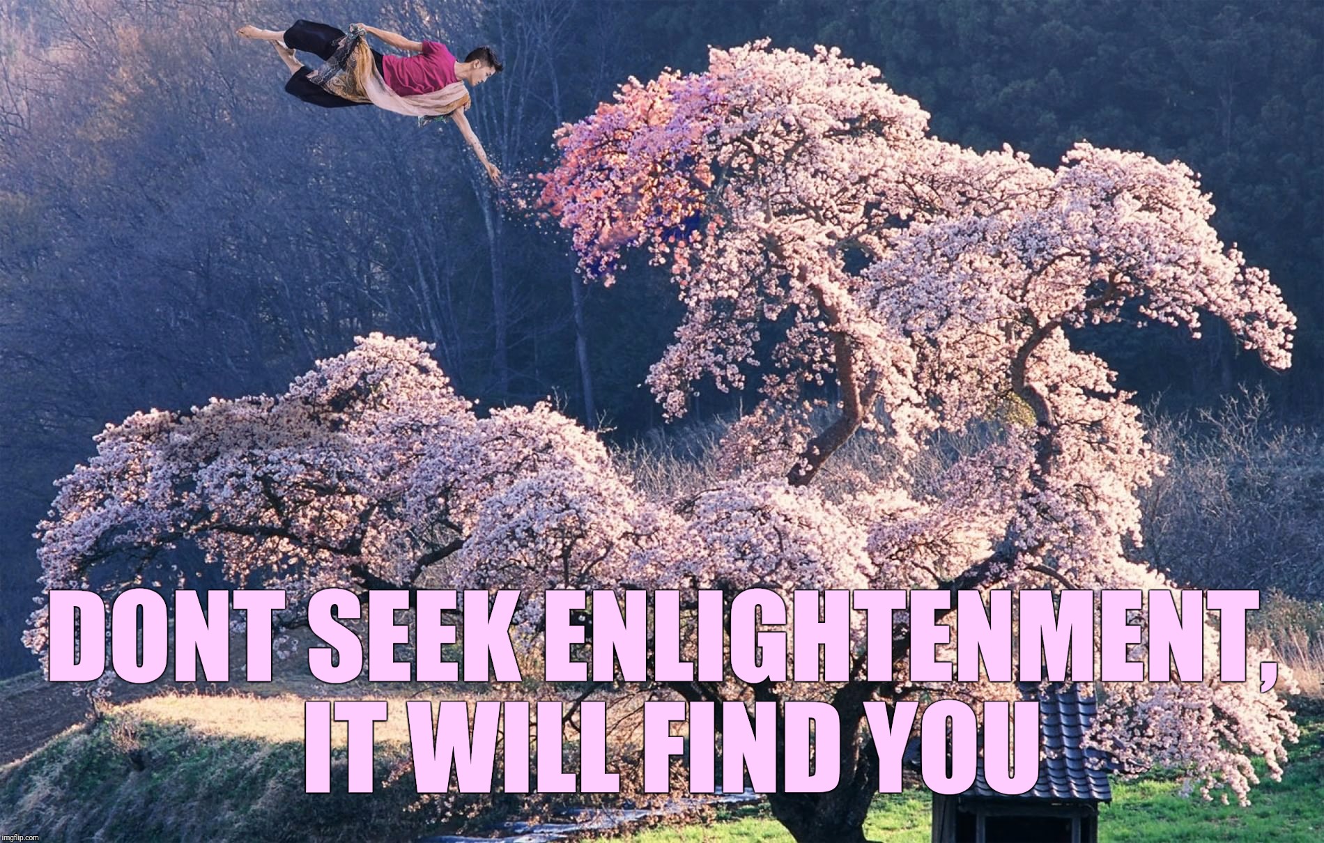 DONT SEEK ENLIGHTENMENT, IT WILL FIND YOU | made w/ Imgflip meme maker