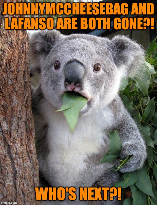It could even be me! Probably not, but it's possible! | JOHNNYMCCHEESEBAG AND LAFANSO ARE BOTH GONE?! WHO'S NEXT?! | image tagged in suprised koala,memes,johnnymccheesebag,lafanso,goodbye,oh god i've been eaten by zombies | made w/ Imgflip meme maker