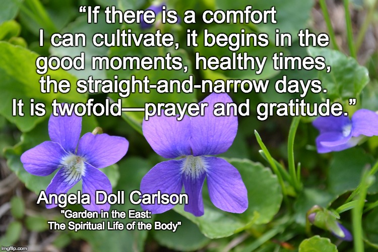 Prayer and Gratitude | “If there is a comfort  I can cultivate, it begins in the good moments, healthy times, the
straight-and-narrow days. It is twofold—prayer and gratitude.”; Angela Doll Carlson; "Garden in the East:      The Spiritual Life of the Body" | image tagged in prayer,gratitude,fitness quote,healthy | made w/ Imgflip meme maker