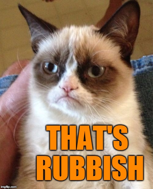 Grumpy Cat Meme | THAT'S RUBBISH | image tagged in memes,grumpy cat | made w/ Imgflip meme maker