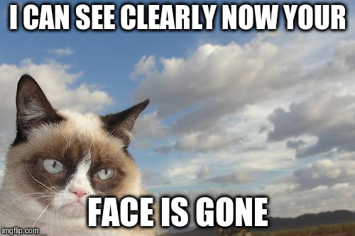 Grumpy Cat Sky Meme | I CAN SEE CLEARLY NOW YOUR; FACE IS GONE | image tagged in memes,grumpy cat sky,grumpy cat | made w/ Imgflip meme maker